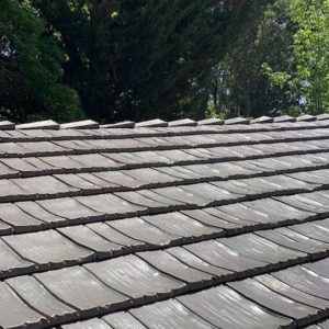 Photo of Mr Patch Roofing and Maintenance