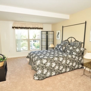 Photo of Casa Aldea at University City Village