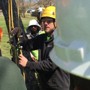 Photo of D & J Arborist Tree Services
