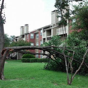 Photo of D & J Arborist Tree Services