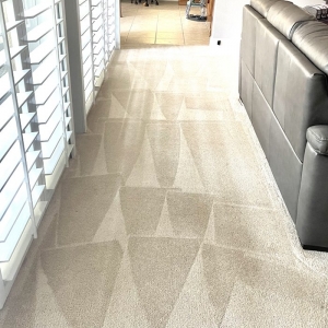 Photo of Thermal Clean Carpet Care