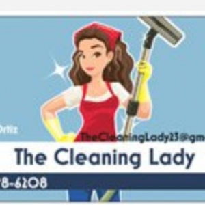 Photo of The Cleaning Lady