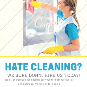 Photo of The Cleaning Lady