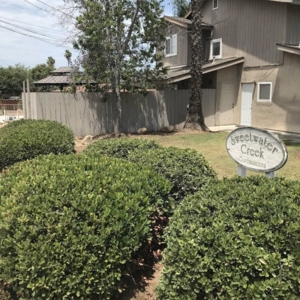 Photo of Ledesma's Hauling & Landscaping