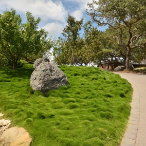 Photo of John Garrett Design