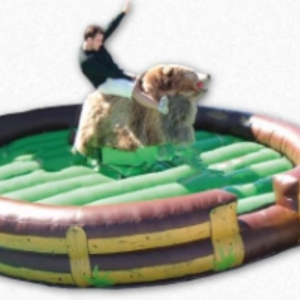 Photo of WOW Inflatables of South Metro