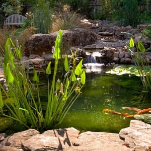 Photo of Shoreline Landscape Design