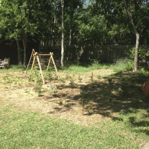 Photo of Gaia's Permaculture Design and Landscape