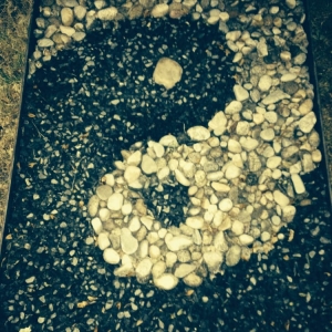 Photo of Gaia's Permaculture Design and Landscape