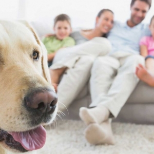 Pembroke Pines Welcome Cleaning Services