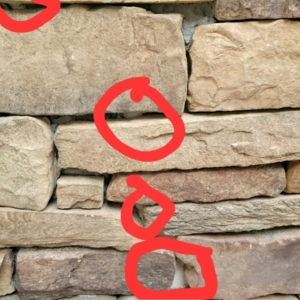 Photo of Savon Pavers