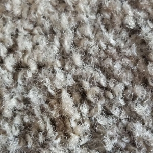 Photo of Earley's Carpet Cleaning