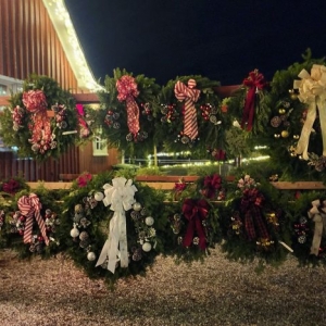 Photo of Fairview Tree Farm