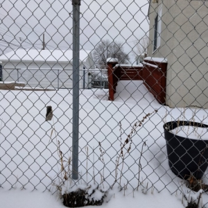 Photo of Martin Lawn Care