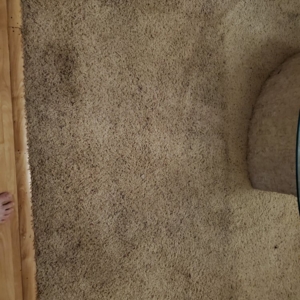 Photo of Steam 'N Clean