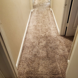 Photo of Steam 'N Clean