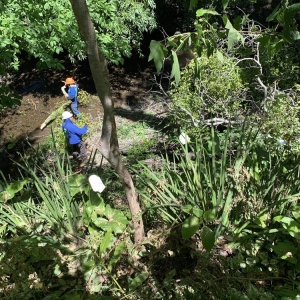 Photo of All Seasons Tree Care