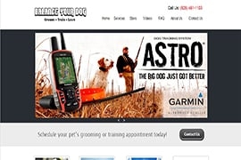 Photo of Catapult Website Design
