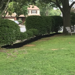 Photo of Ancone Landscaping