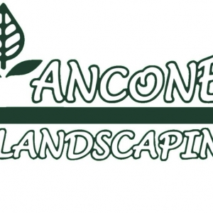 Photo of Ancone Landscaping