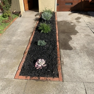 Photo of Blooms Gardening