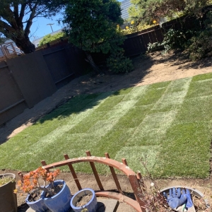 Photo of Blooms Gardening