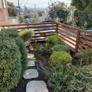 Photo of Blooms Gardening