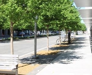 Photo of HFSD Howard-Fairbairn Site Design