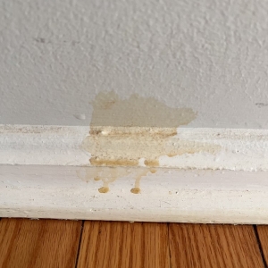 Photo of Matt's Professional Flooring