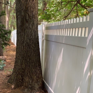 White Plains Colony Fence