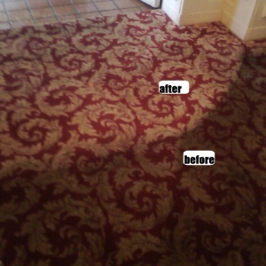 Photo of Lewie's Carpet Cleaning