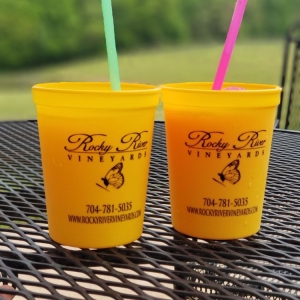 Photo of Rocky River Vineyards