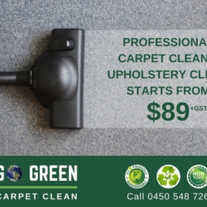 Photo of Go Green Carpet Clean