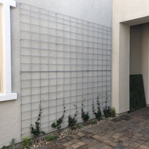 Photo of Danny's Home & Garden Services