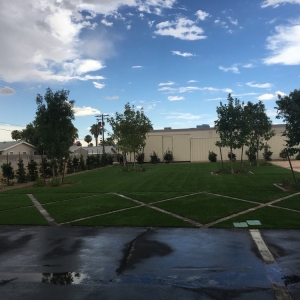Photo of Danny's Home & Garden Services