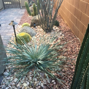 Photo of Danny's Home & Garden Services