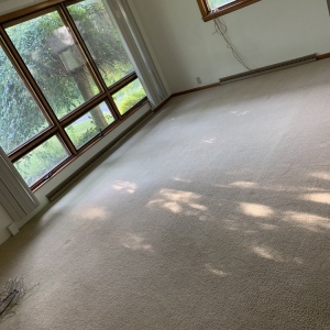 Photo of Oxi Fresh Carpet Cleaning