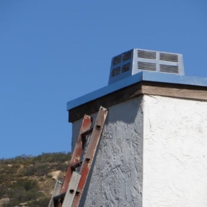 Photo of Chimney Crickets