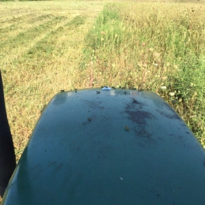 Photo of A1 Bush Hogging & Lawn Service