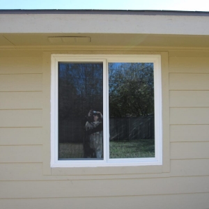 Photo of Affordable Replacement Window Systems