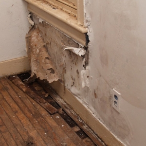 Photo of Water Damage 858