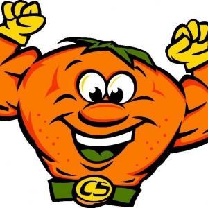 Photo of Lowcountry Citrus Solutions