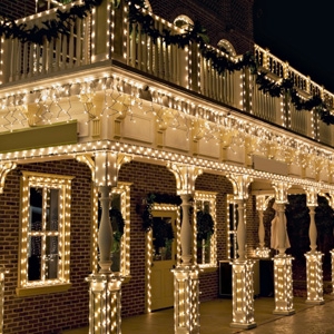 Photo of TX Christmas Light Installers