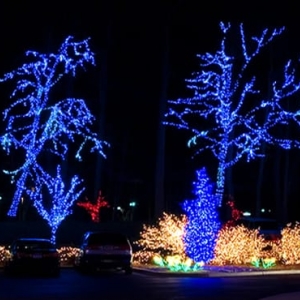 Photo of TX Christmas Light Installers