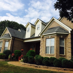 Photo of Professional Painting Service