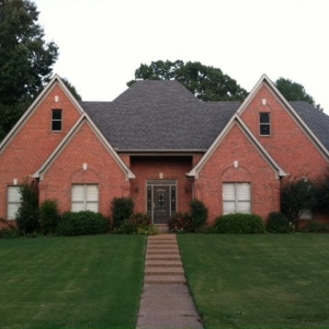 Photo of Professional Painting Service