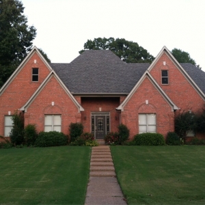 Photo of Professional Painting Service