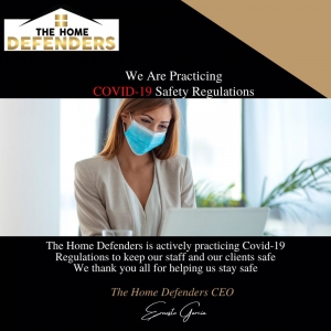 Photo of The Home Defenders