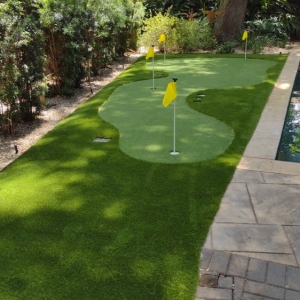 Photo of Houston Artificial Grass