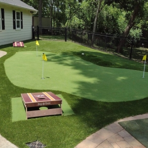 Photo of Houston Artificial Grass